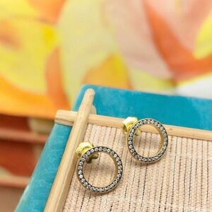 Nocturne disc Earrings in Silver Vermeil Earring size: 1.5 cm.